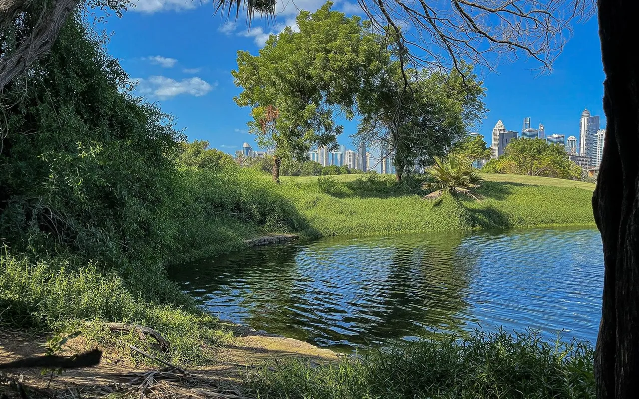 Trees and lakeside landscaping at Emirates Hills Montgomerie